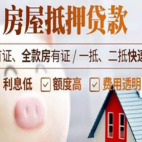 黎母山镇贷款助贷公司新渝启服成立时间久